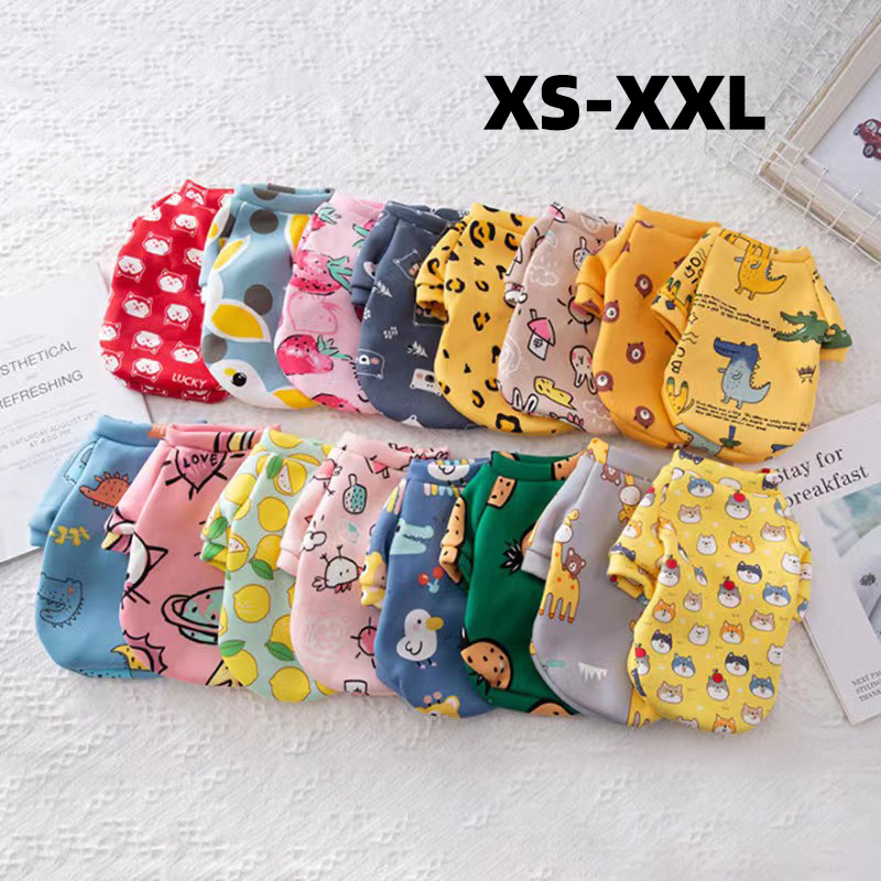 Xs Vestiti per cani per cani d - Winter Clothing Boys recensione e prezzo