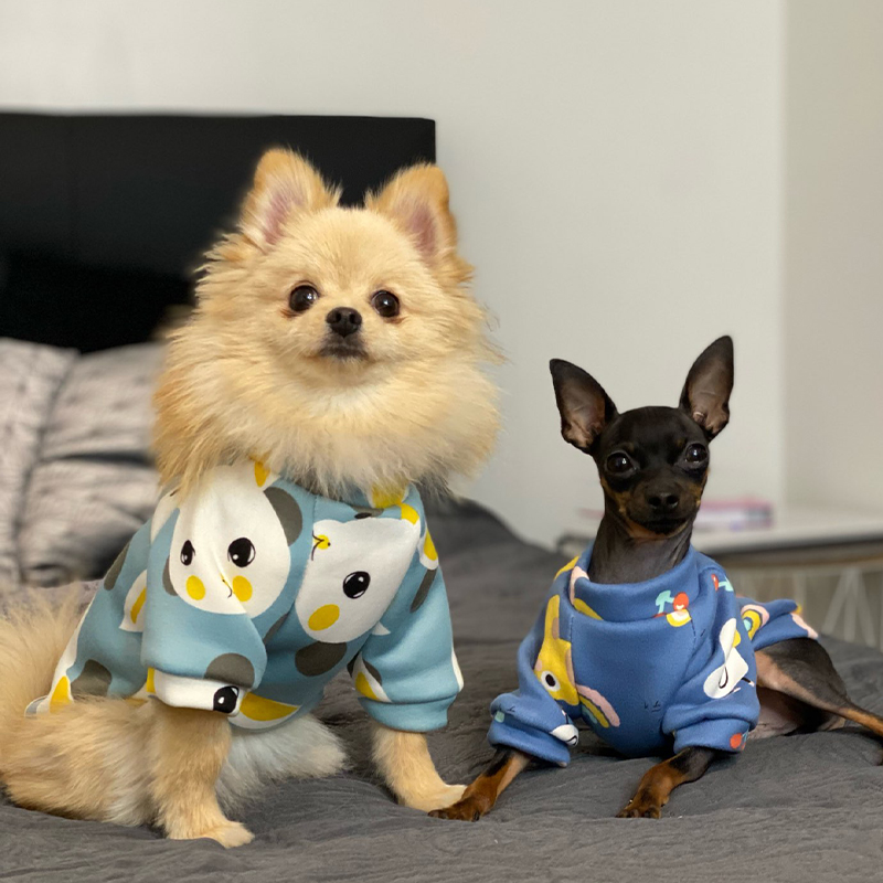 Xs Vestiti per cani per cani d - Winter Clothing Boys recensione e prezzo