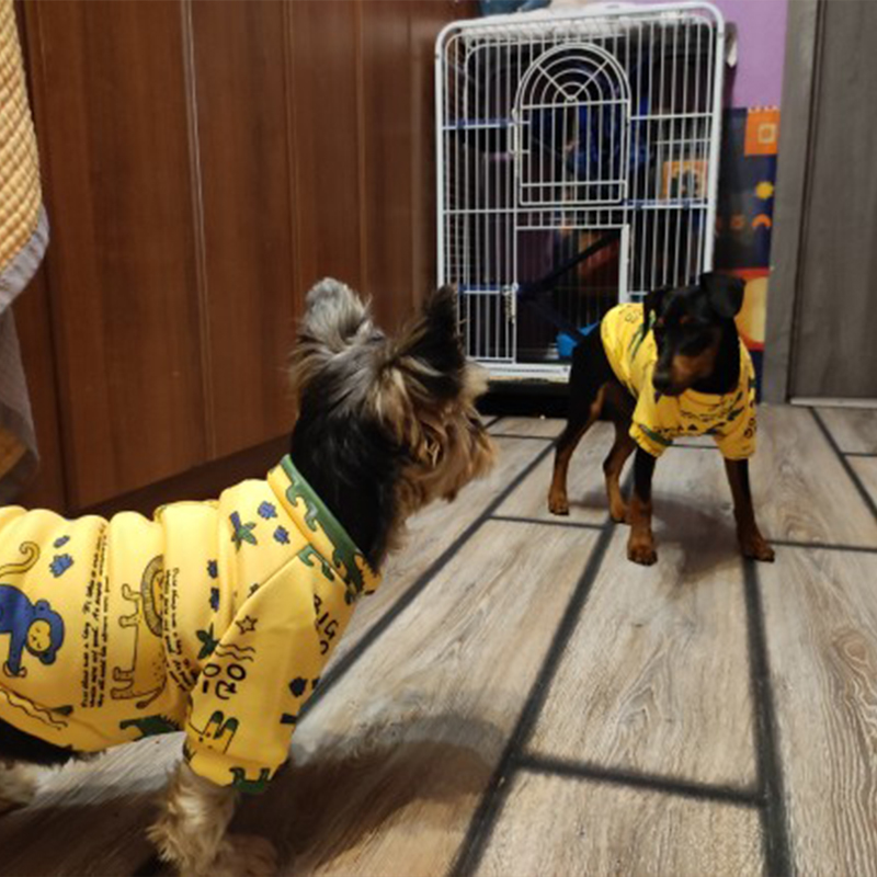Xs Vestiti per cani per cani d - Winter Clothing Boys recensione e prezzo